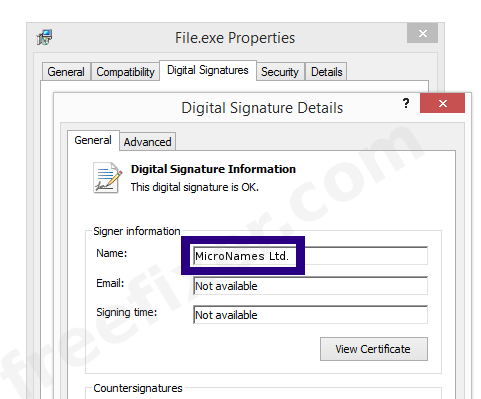 Screenshot of the MicroNames Ltd. certificate